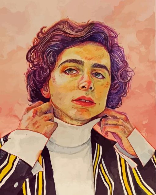 Timothee Chalamet Art paint by number