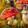 Toadstools paint by number