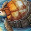 Tortoise In Water paint by number