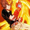 Tsunayoshi Sawada Reborn Anime paint by number