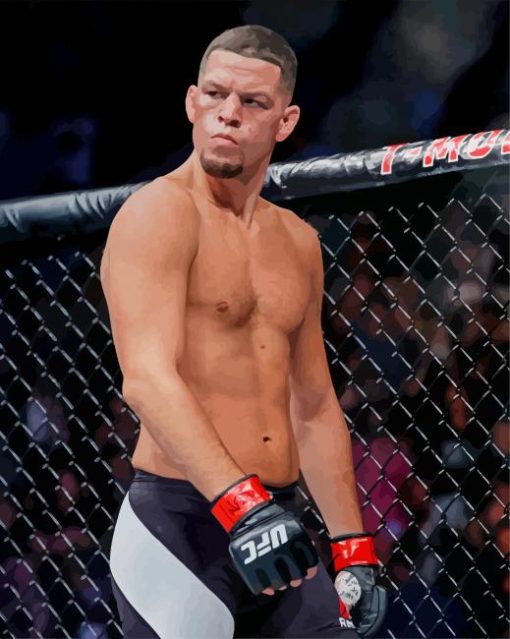 UFC Nate Diaz paint by numbers