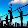 Volleyball Players Silhouette paint by number