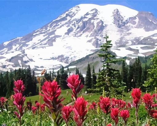 Washington Mt Rainier paint by numbers