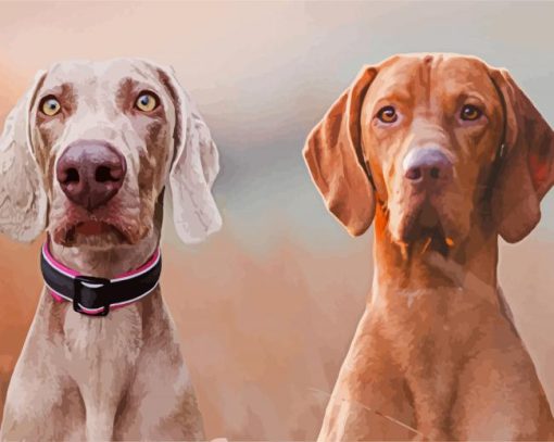 Weimaraner Dogs paint by number