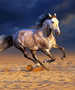 White Andalusian Horse In The Desert paint by numbers