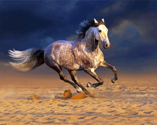 White Andalusian Horse In The Desert paint by numbers