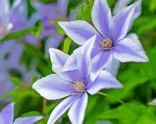 White Purple Clematis paint by number