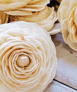 White Ranunculus Flowers paint by number