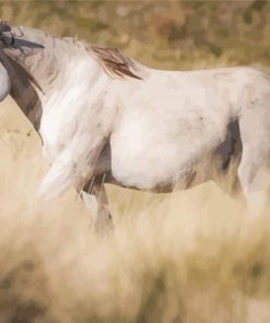 White Brumby paint by number