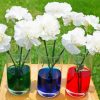 White Carnations Glasses paint by number