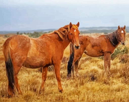 Wild Brown Brumby Horses paint by number