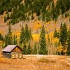 Wooden Cabin In Fall paint by number