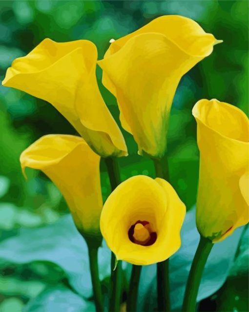 Yellow Calla Lilies paint by number