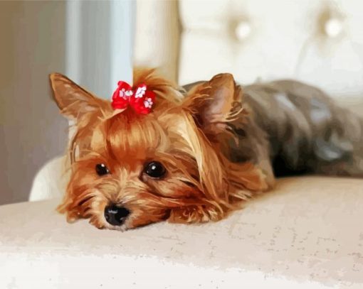 Yorkie paint by number