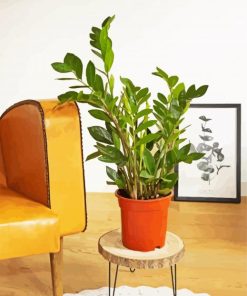 Zamioculcas Plant Pot paint by number