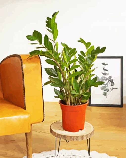 Zamioculcas Plant Pot paint by number