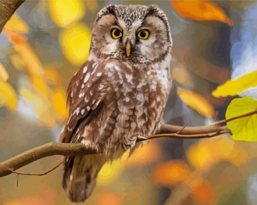 Zimbabwean Owl paint by number