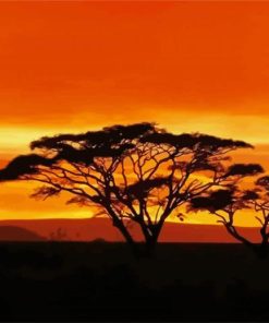 Acacia Tree At Sunset paint by number