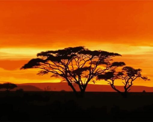 Acacia Tree At Sunset paint by number