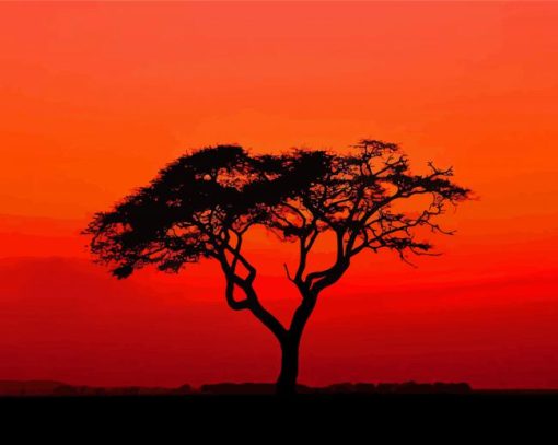 Acacia Tree Sunset Silhouette paint by number