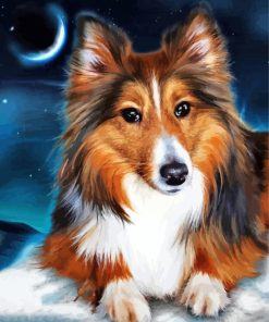 Adorable Sheltie paint by number