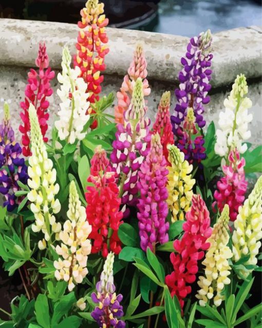 Aesthetic Lupins paint by numbers