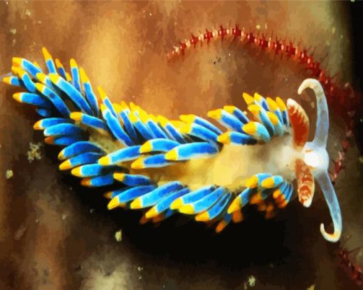 Aesthetic Nudibranch paint by number