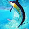 Aesthetic Sailfish paint by numbers