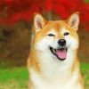 Aesthetic Shiba Inu paint by number