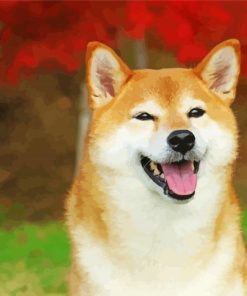 Aesthetic Shiba Inu paint by number