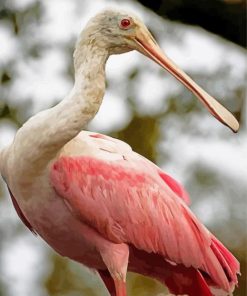 Aesthetic Spoonbill paint by number