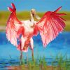 Aesthetic Spoonbill Pink Bird paint by number