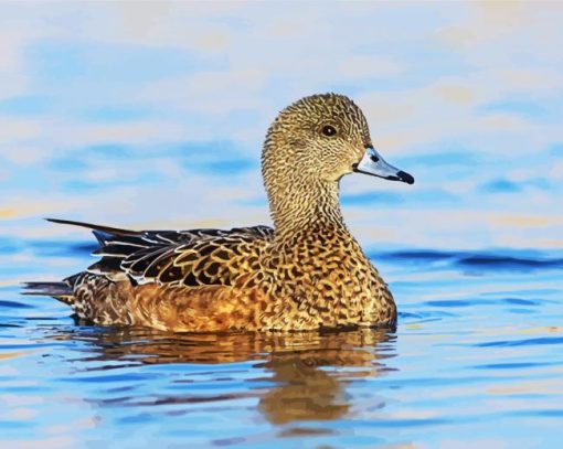 Aesthetic Wigeon Bird Animal paint by numbers