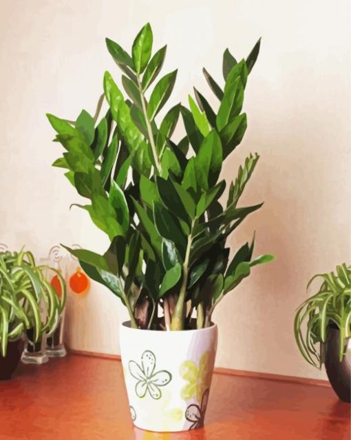 Aesthetic Zamioculcas Plants paint by numbers