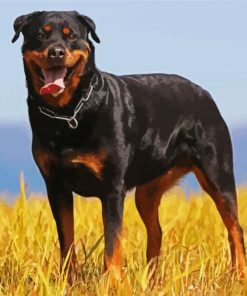 Aesthetic Black Rottweiler paint by numbers