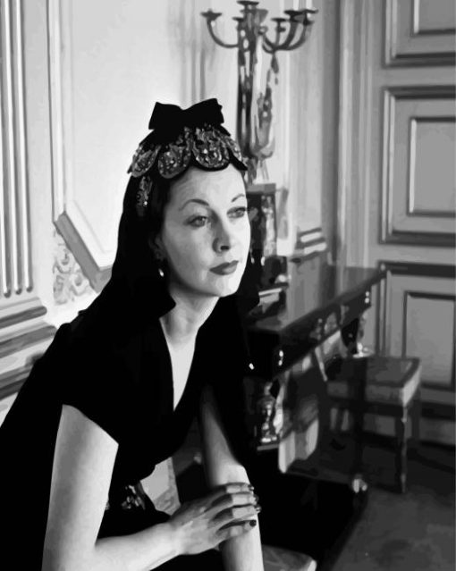 Aesthetic Monochrome Vivien Leigh paint by numbers