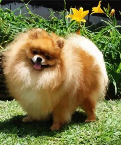 Aesthetic Pomeranian paint by number