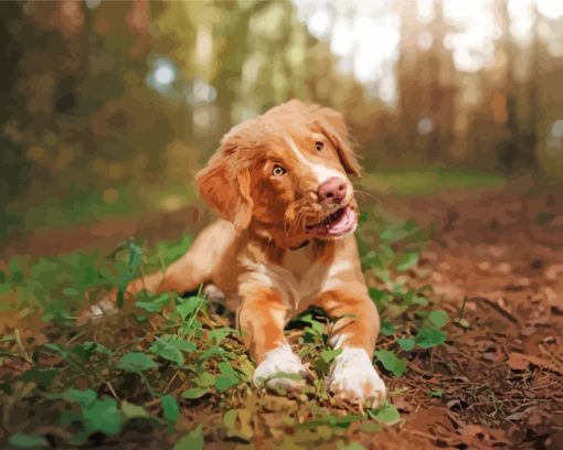 Aesthetic Toller Puppy paint by numbers