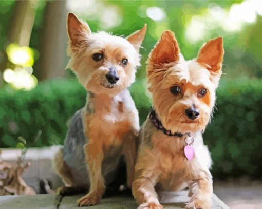 Aesthetic Yorkies paint by number