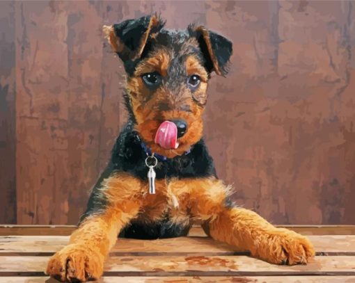 Airedale Terrier Dog paint by number