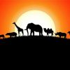 Animals Silhouette Illustration paint by number