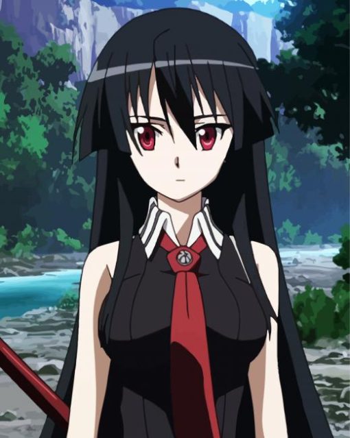 Anime Girl Akame Ga Kill paint by number