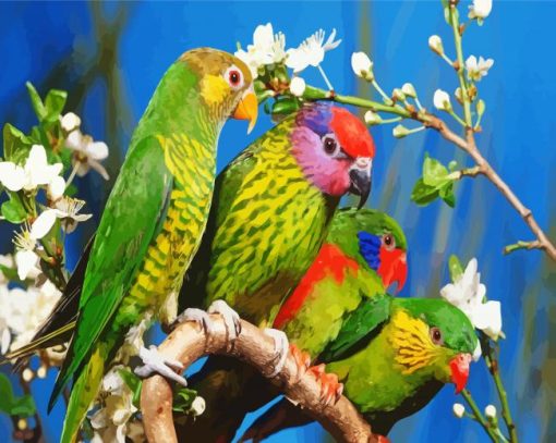 Beautiful Birds paint by number