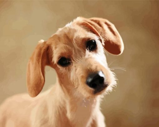 Beige Doxie Daschsund paint by number