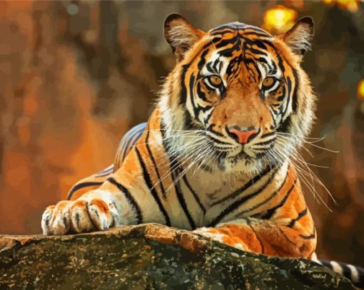 Bengal Tiger Animal paint by number