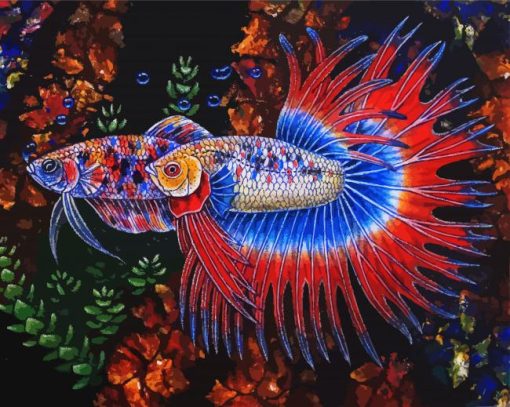 Betta Fish paint by numbers