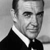 Black And White Sean Connery James Bond paint by numbers