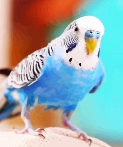 Blue Bird Budgerigar paint by number