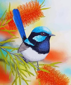 Blue Wren Bird paint by numbers