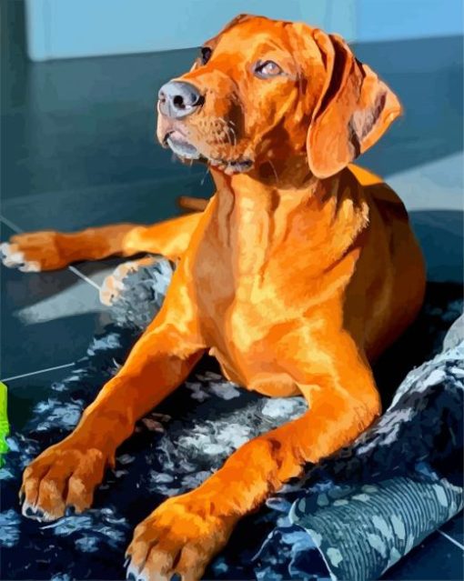 Brown Ridgeback paint by number